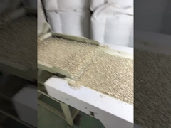 도매 값싸고 값싸고 바키 등급 중국 햇꽃 씨앗 핵 아마존에서 가장 많이 팔린