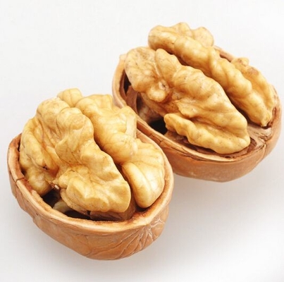 주문 포장 워크샵에서 5% 맥스 브로큰 커널을 가진 이 호박 간식을 간식하십시오. online manufacture