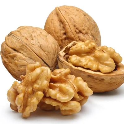 주문 천연 Walnut Halves & Pieces 1 lb, 100% XinJiang 베이킹을 위한 소금 없는 월넛 online manufacture
