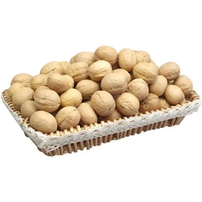주문 중국 월넛 공장 공급자 도매 건강 인 셸 유기 Walnut Walnuts Walnuts kenrel online manufacture