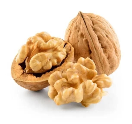 주문 뜨거운 판매 프리미엄 호두와 호두 kernels 둘 다 사용자 정의 포장 지원 아마존의 가장 많이 팔리는 제품 online manufacture