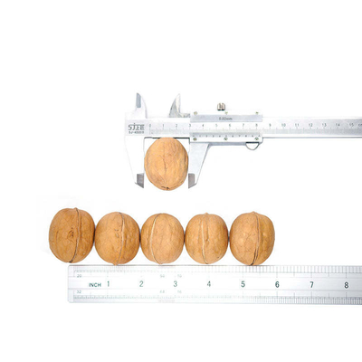 주문 국제 수입 기준을 충족하는 신장 친환경 견과류가 도매 판매 online manufacture