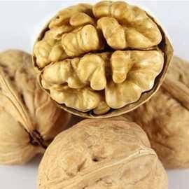 주문 도자고 Walnut Inshell Fresh Delicious Nutrition Kernel Food Dried Walnuts 공장 가격 아마존의 가장 많이 팔리는 제품 online manufacture