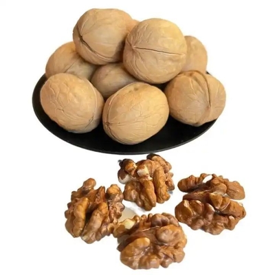 주문 공장 소매 10kg/백 원 185/33/xin2/xingfu 월넛 아마존의 가장 많이 팔리는 제품 online manufacture