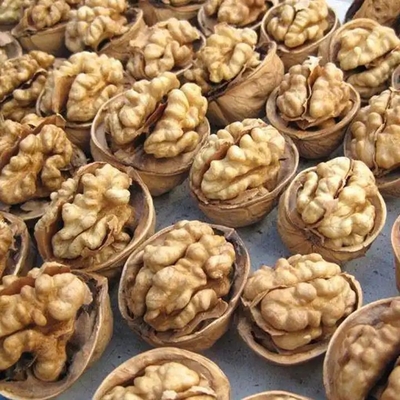 주문 OEM 커스터마이징을 위한 오리지널 맛과 월넛 커널 online manufacture