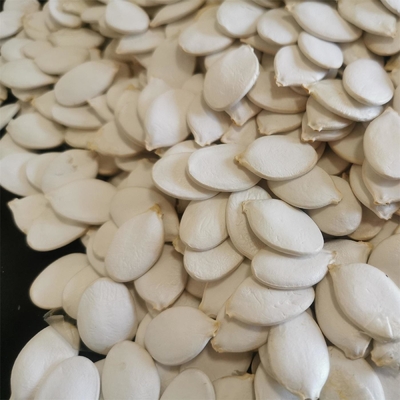 주문 습도 7% 최대 최고 품질의 눈 흰색 거북이 머리가 당신의 요구 사항에 online manufacture
