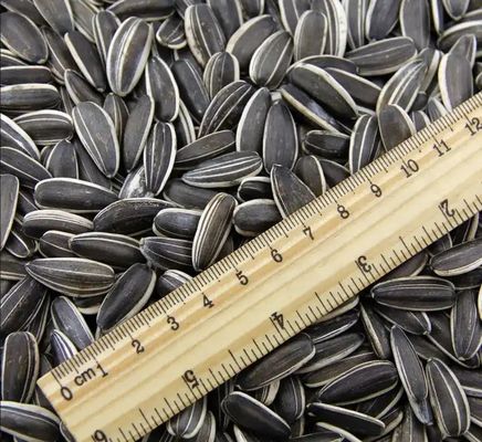 신생 작물 태양광 씨앗을 중국으로부터 도매 T5 210-220 고품질 원료 20/25kg Pp 직물 봉지 포장 태양 건조 세트