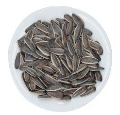 도매 큰 곡물 햇꽃 씨앗은 완전한 모델과 신뢰할 수있는 품질을 가지고 있습니다.
