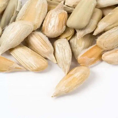고품질의 과자 품종과 바키 품종의 초음식용 햇꽃 씨앗 핵과 저렴한 가격
