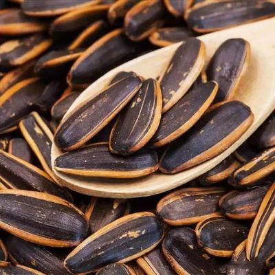 간식 공장 공정 카라멜 맛 카라멜 끓인 소금 튀긴 썬플라워 씨앗