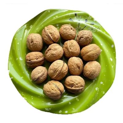 호두 껍질 호두 kernels 100% 자연 유기농 간식으로 완벽