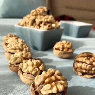 Walnut Kernel Xin 2를 대량으로 사용하여 제품 라인을 업그레이드하십시오.