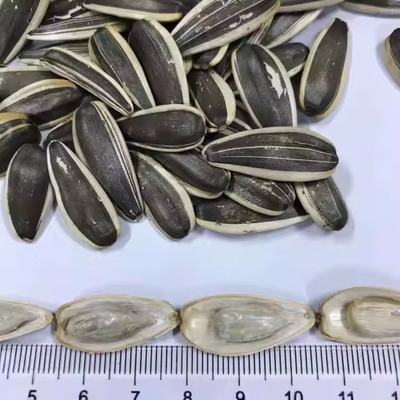 이름