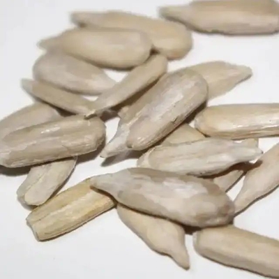 이름