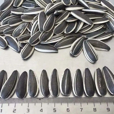 이름